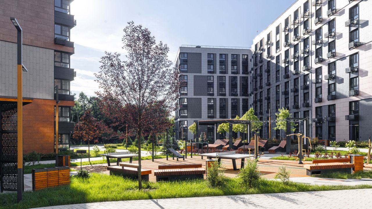 Clementine (Клементин) фото 3